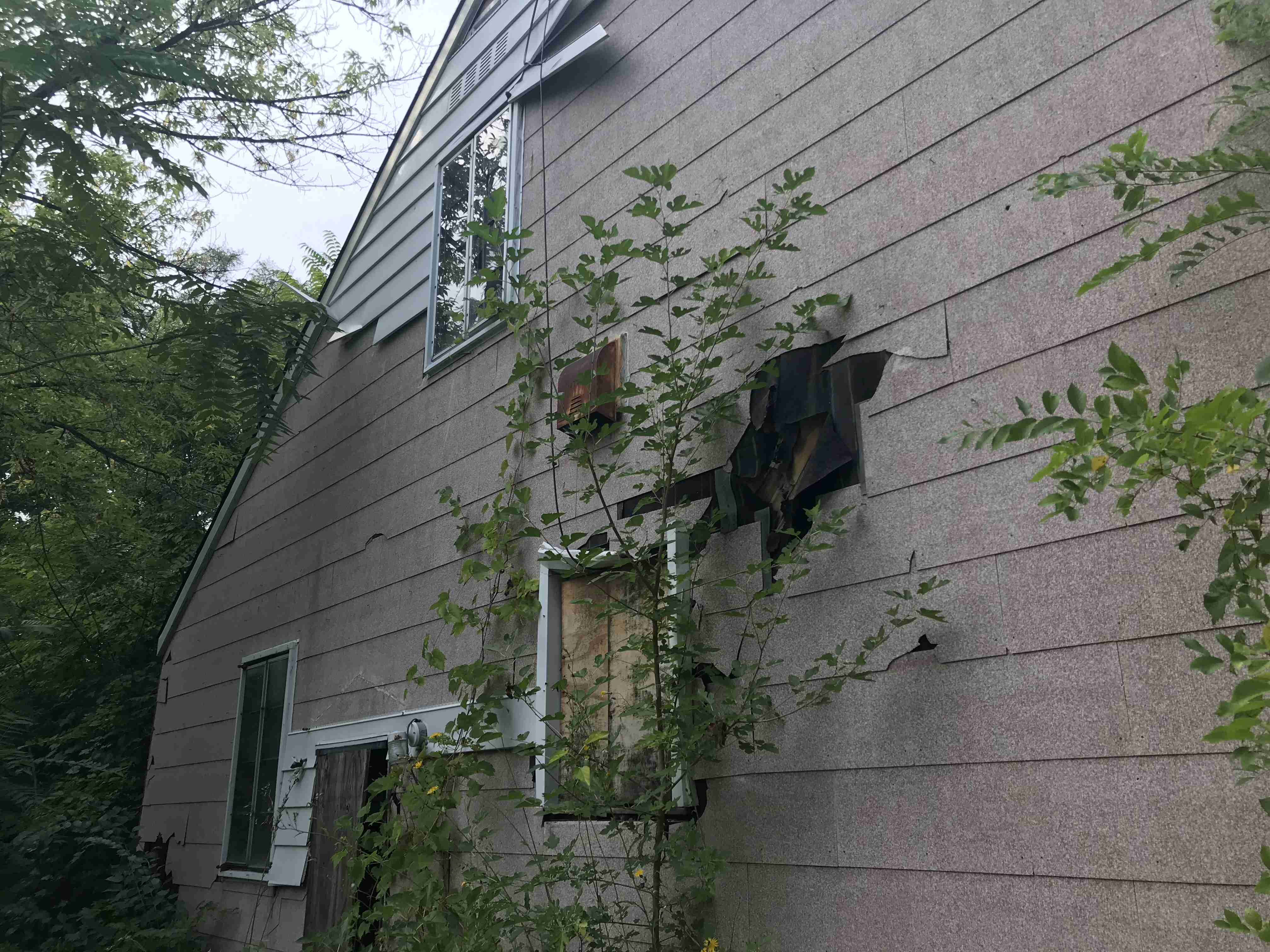 Photo Sep 09, 5 40 39 PM (1).jpg